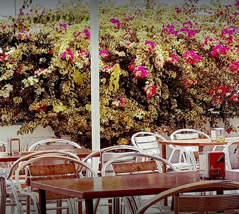 Terraza aire libre Pozoalbero